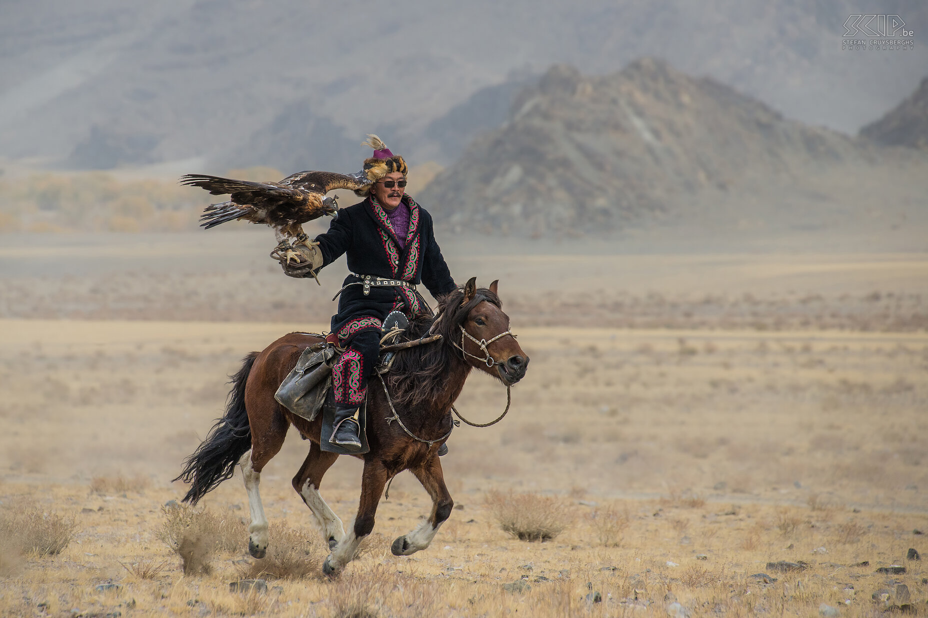 Ulgii - Golden Eagle Festival - Eagle hunter The Kazakh people in the Altai mountains in western Mongolia still practice the ancient art of training and hunting with golden eagles. The tradition of hunting with golden eagles probably has started by the nomadic Khitans from Manchuria in northern China around 940AD. Genghis Khan himself kept a reported 1000 hunting birds. <br />
<br />
Today, approximately 250 Kazakh people still practice this ancient art. But probably only 30 family groups still live the nomadic life like centuries ago. They are dependent from the season.In winter time they use their eagles to hunt rabbits, foxes and wolves which were essential for food and clothing in the past. But it is more, it's an art form in which the right balance between strength, agility and smoothness is required and where an intense bond between bird and its master is required.<br />
<br />
A lot of Kazakh people still live in gers in summer time but in other seasons they live in villages and cities. But they keep their eagles and practice eagle hunting as a hobby and so their cultural heritage is still alive. Stefan Cruysberghs